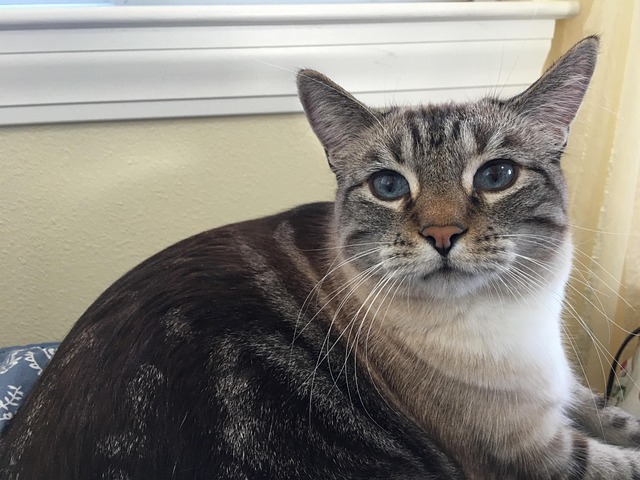 Hình ảnh minh họa ý nghĩa của từ grouchy