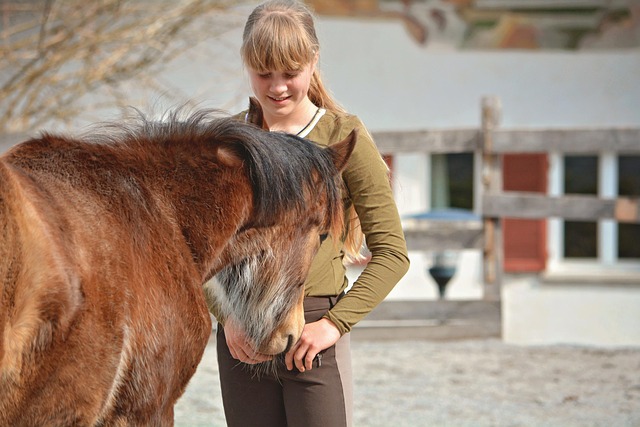 Hình ảnh minh họa ý nghĩa của từ groundwork
