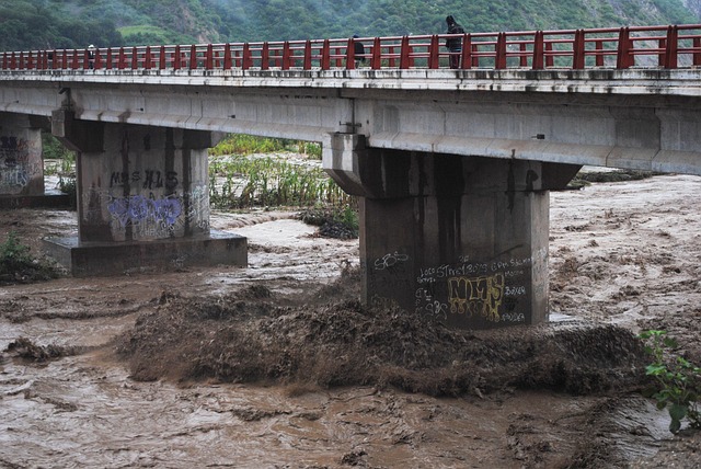 Hình ảnh minh họa ý nghĩa của từ grown