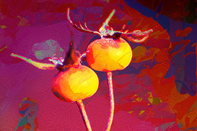 Hình ảnh minh họa ý nghĩa của từ growth