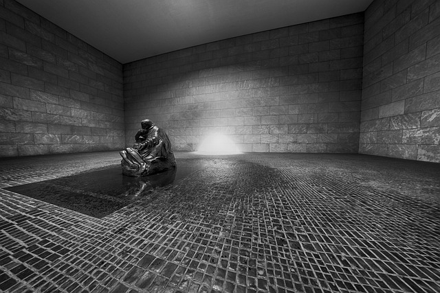 Hình ảnh minh họa ý nghĩa của từ guarded