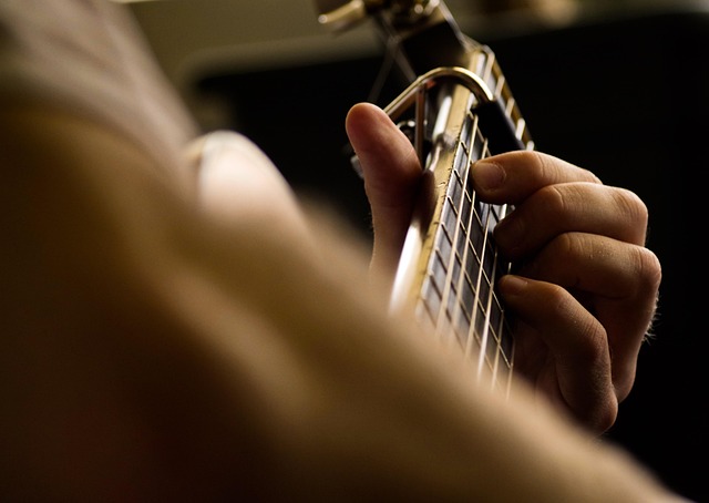 guitarist