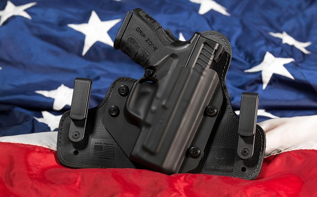 gun rights
