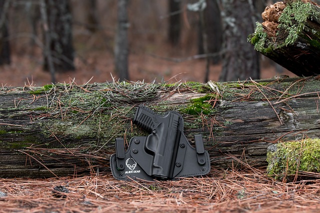 Hình ảnh minh họa ý nghĩa của từ gunfighter