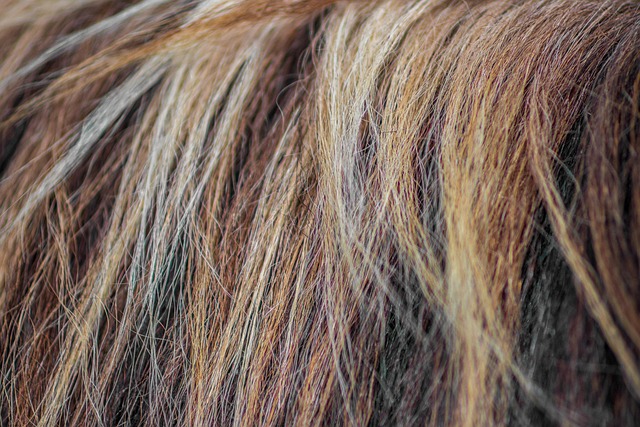 hair cream
