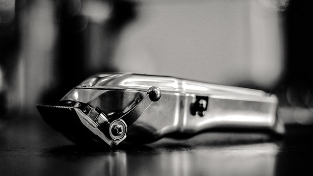 Hình ảnh minh họa ý nghĩa của từ hair stylist