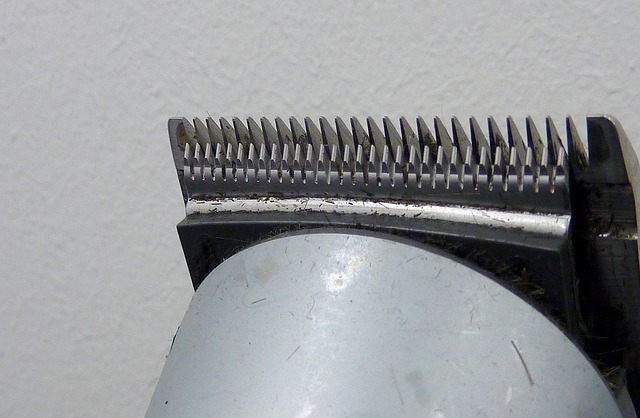 hair trimmer