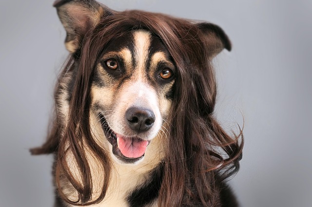 hairpieces