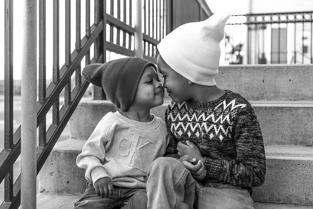 Hình ảnh minh họa ý nghĩa của từ half-sibling