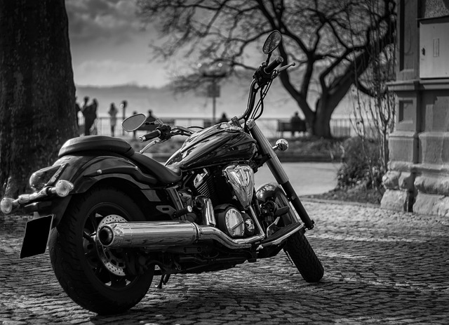 handlebar