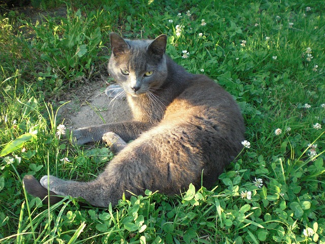 Hình ảnh minh họa ý nghĩa của từ hangover