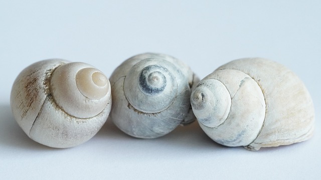 Hình ảnh minh họa ý nghĩa của từ hard up