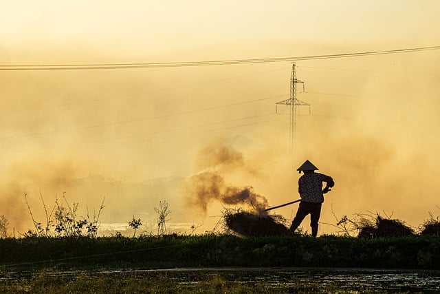 Hình ảnh minh họa ý nghĩa của từ hardships