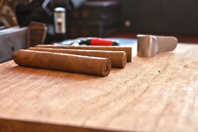 Hình ảnh minh họa ý nghĩa của từ harmed