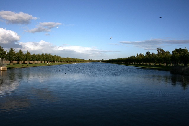 Hình ảnh minh họa ý nghĩa của từ harmonious existence