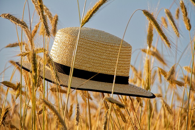 hat