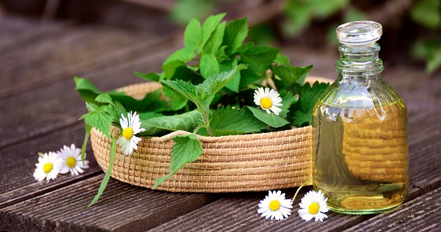 healing plant
