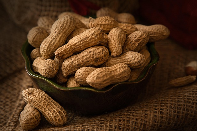 healthy snack