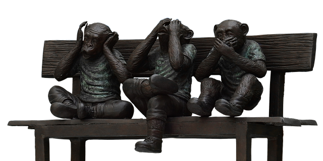 Hình ảnh minh họa ý nghĩa của từ hearing