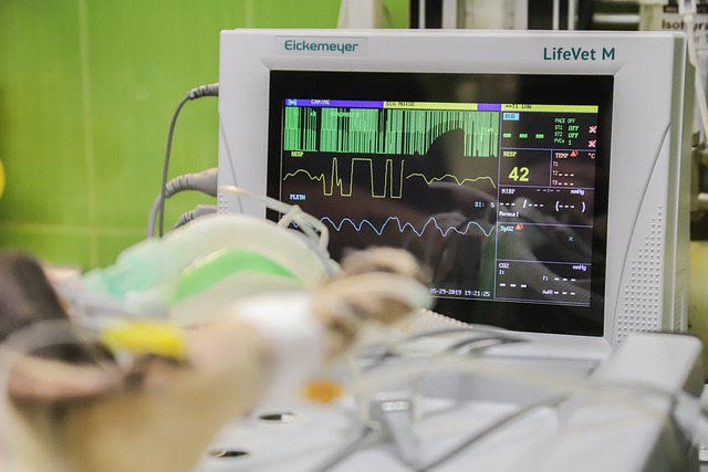 heart surgery