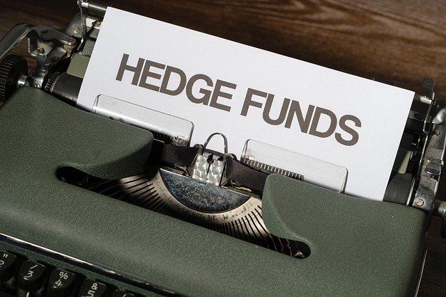 Hình ảnh minh họa ý nghĩa của từ hedge fund