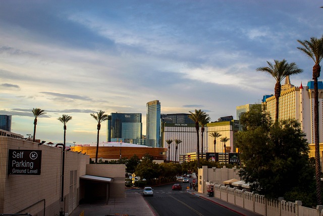 Hình ảnh minh họa ý nghĩa của từ heir apparent