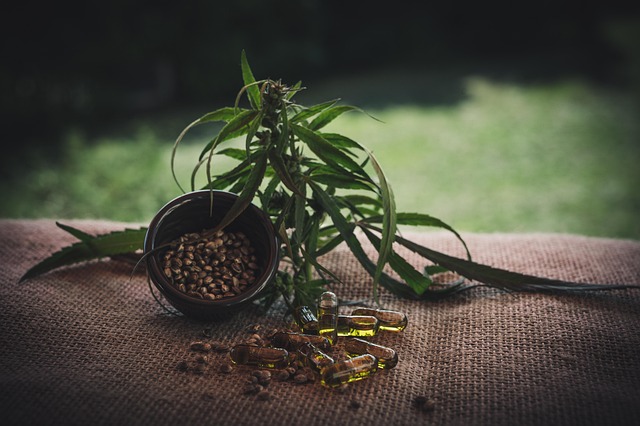 hemp seeds
