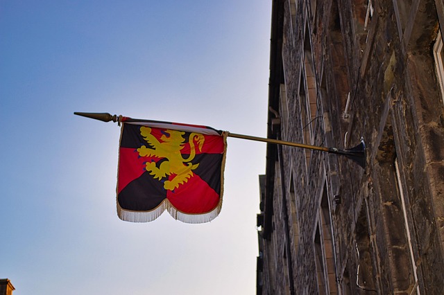 Hình ảnh minh họa ý nghĩa của từ heraldry