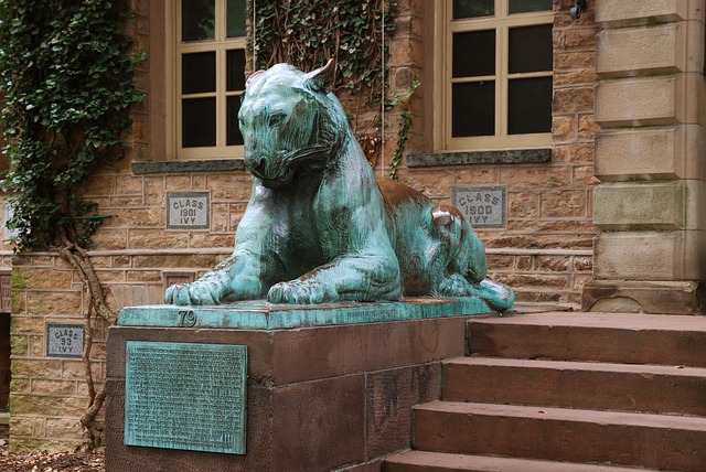 Hình ảnh minh họa ý nghĩa của từ high society