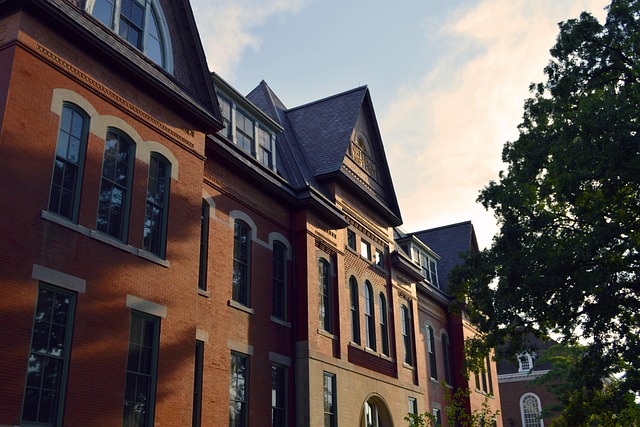 Hình ảnh minh họa ý nghĩa của từ higher education