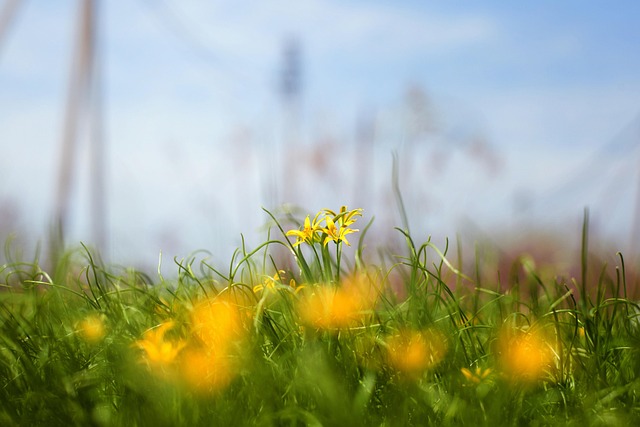Hình ảnh minh họa ý nghĩa của từ higher reaches