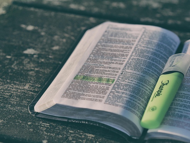 highlighter
