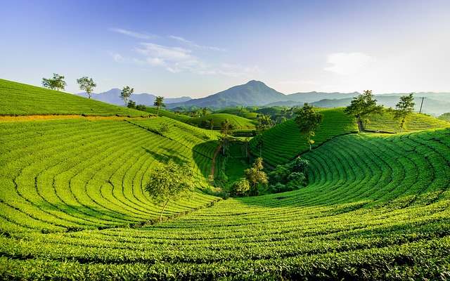 Hình minh họa montanhas