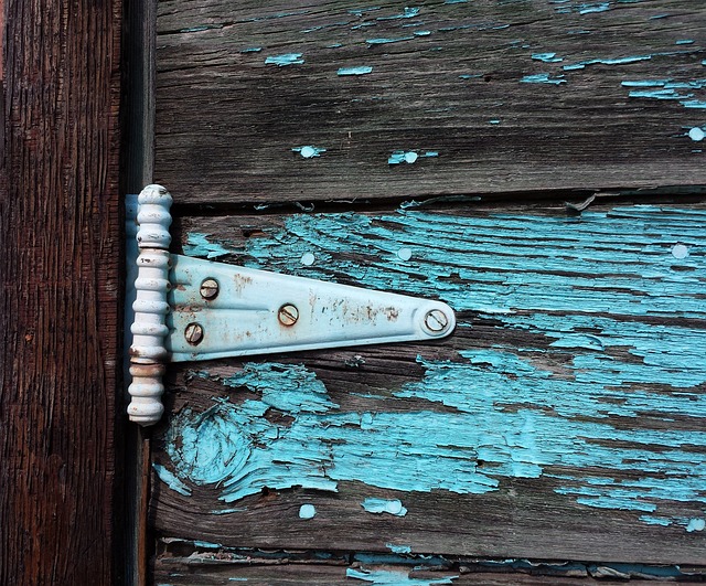 Hình ảnh minh họa ý nghĩa của từ hinge