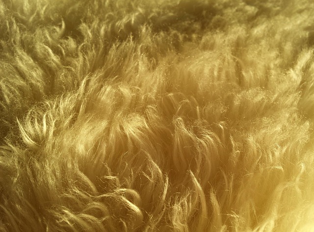hirsute