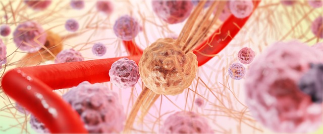 Hình ảnh minh họa ý nghĩa của từ histology