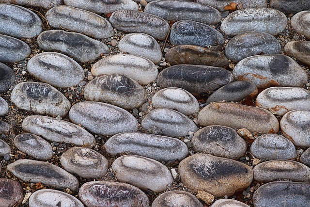 Hình ảnh minh họa ý nghĩa của từ historical association