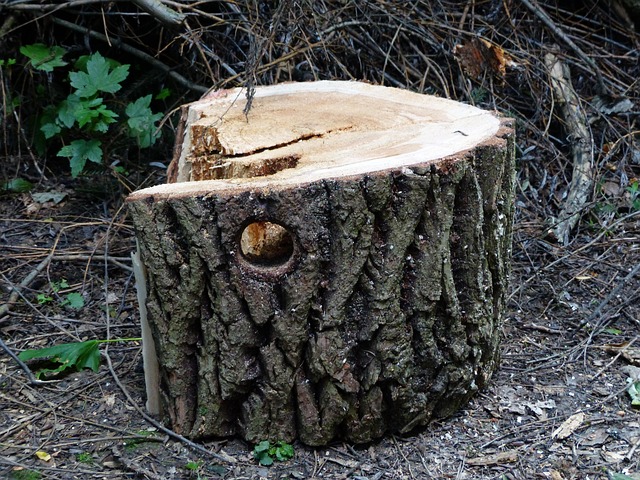 hole saw