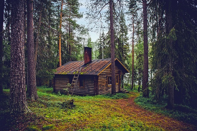 home country