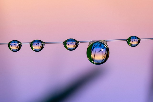 Hình ảnh minh họa ý nghĩa của từ home invasion