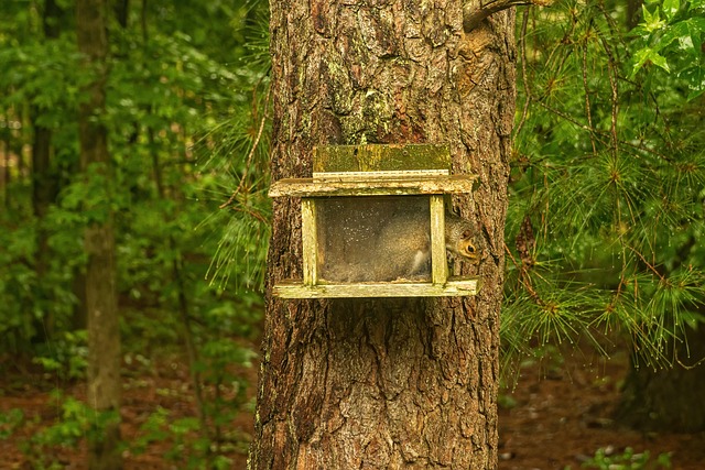 Hình ảnh minh họa ý nghĩa của từ homebound