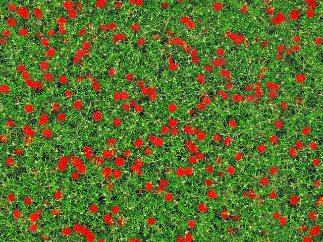 Hình ảnh minh họa ý nghĩa của từ homogenous