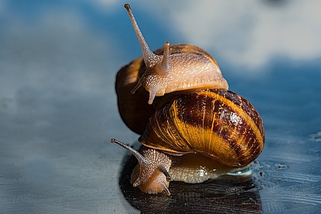 Hình ảnh minh họa ý nghĩa của từ homophobia