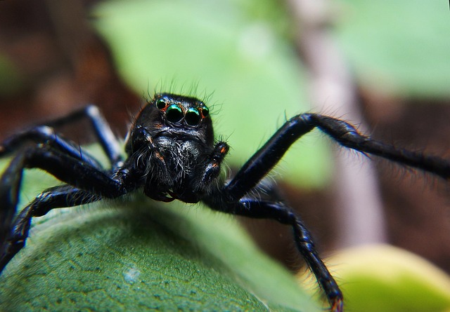 Hình ảnh minh họa ý nghĩa của từ horrifying