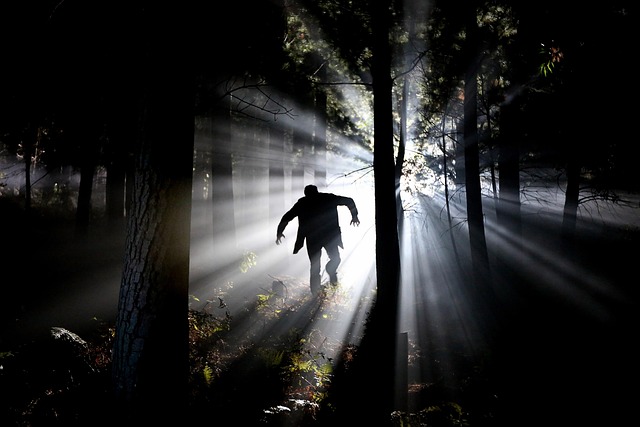 horror film