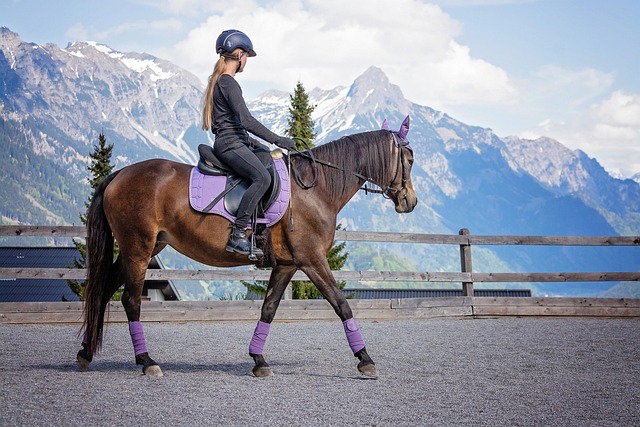 horseback rider