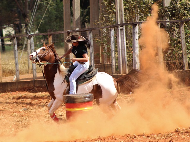 horsemanship