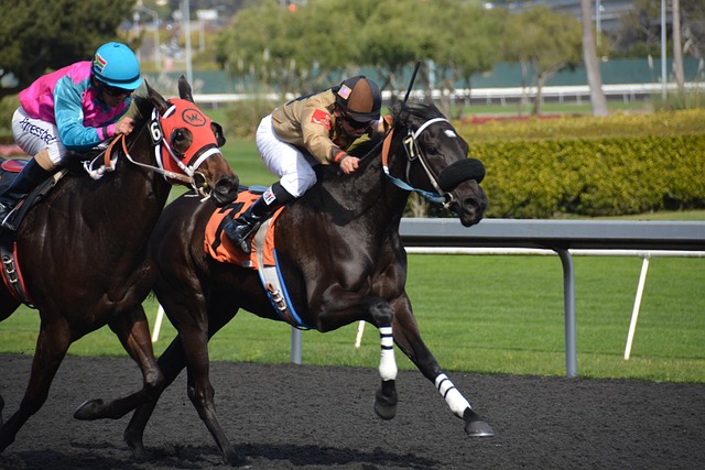 horseracing