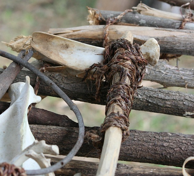 Hình ảnh minh họa ý nghĩa của từ horticultural tools