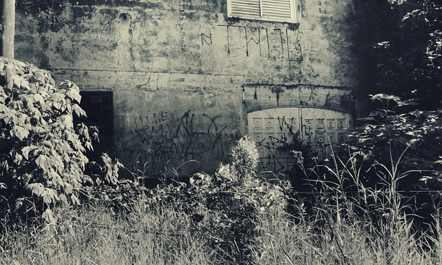 Hình ảnh minh họa ý nghĩa của từ hospital resident